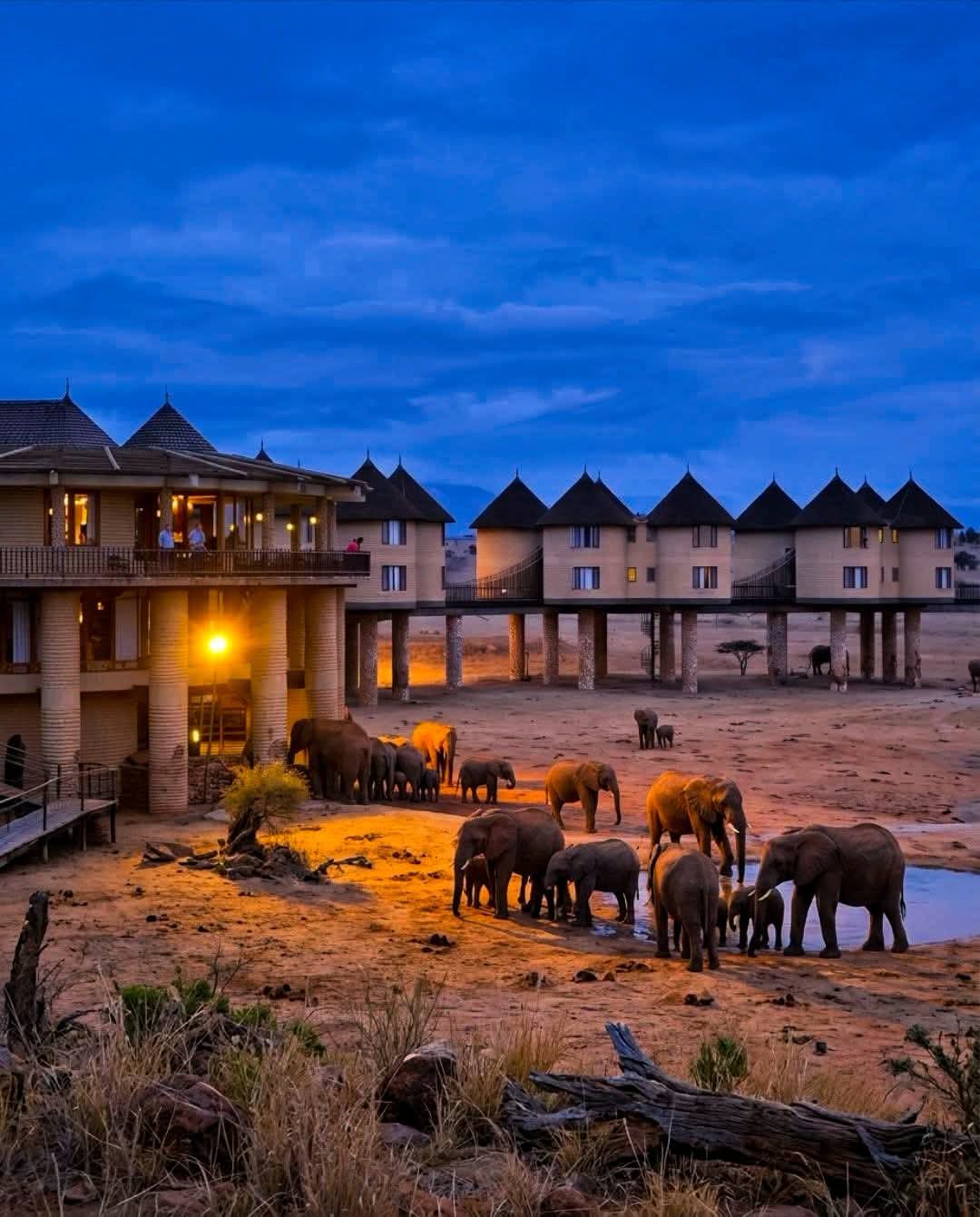 Maasai Mara 2 GG