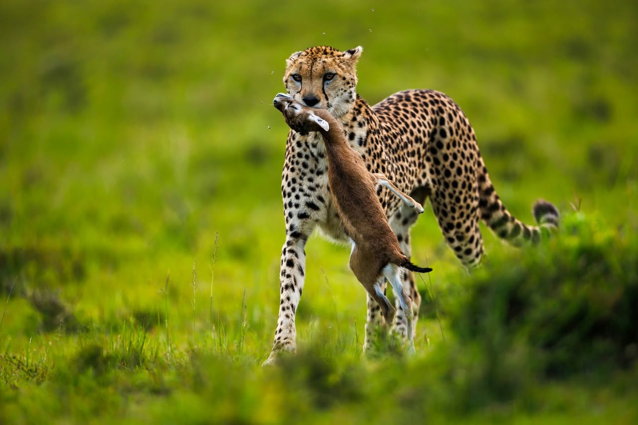 Kenya