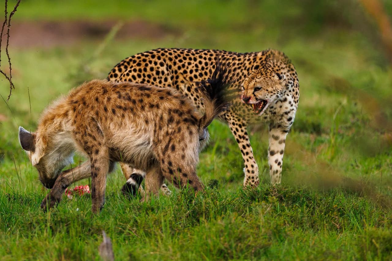 Kenya