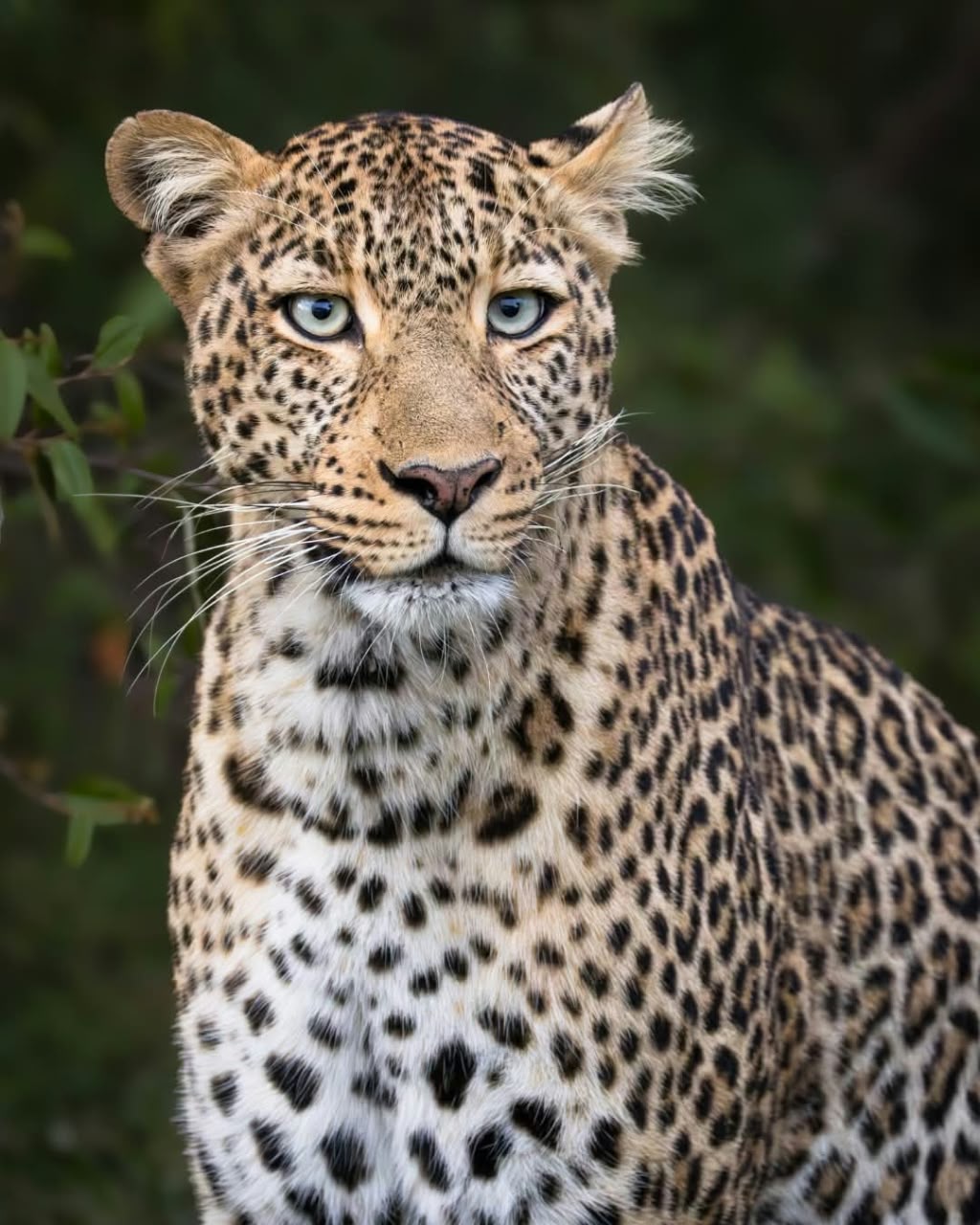 Kenya