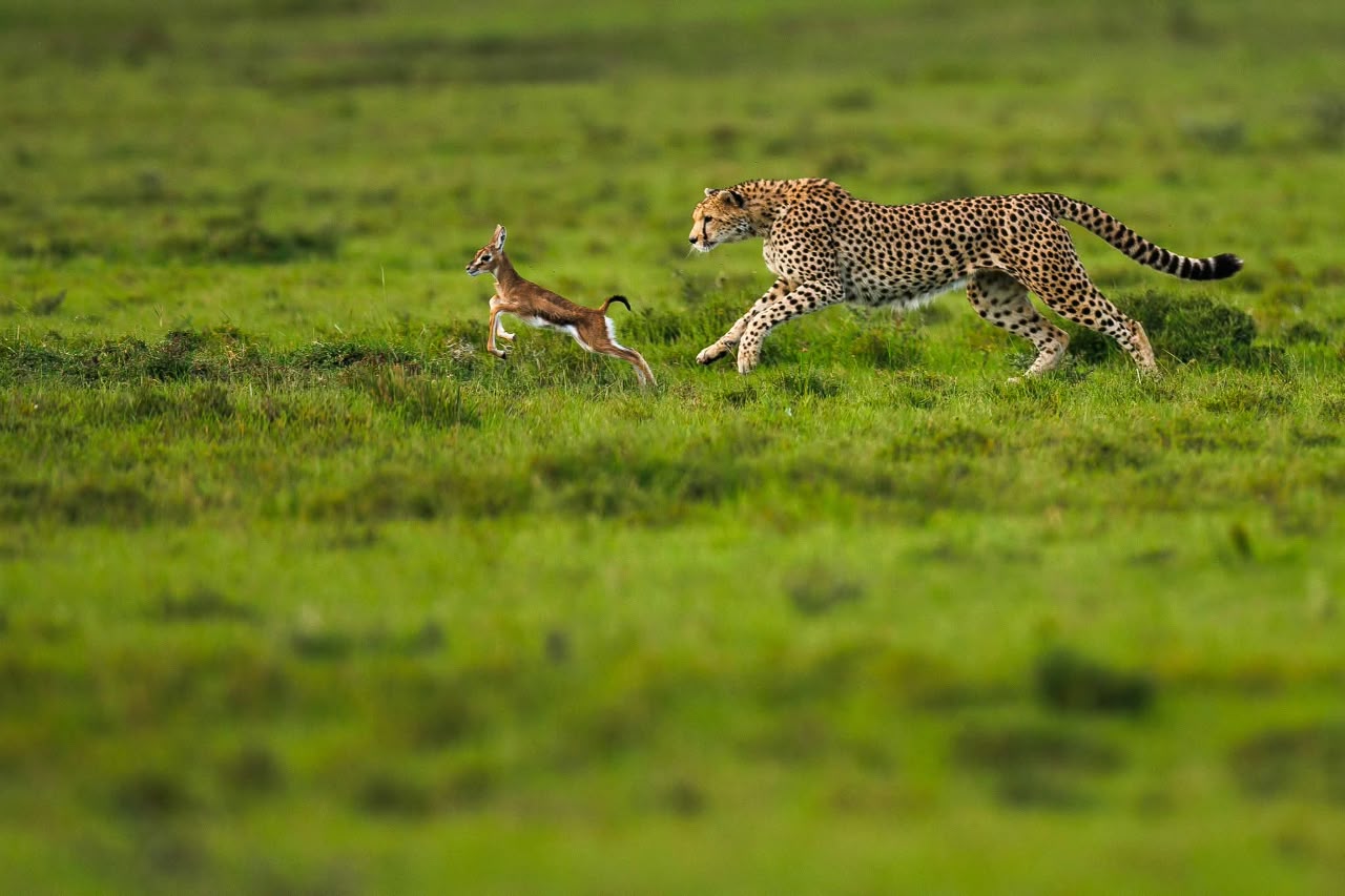 Kenya