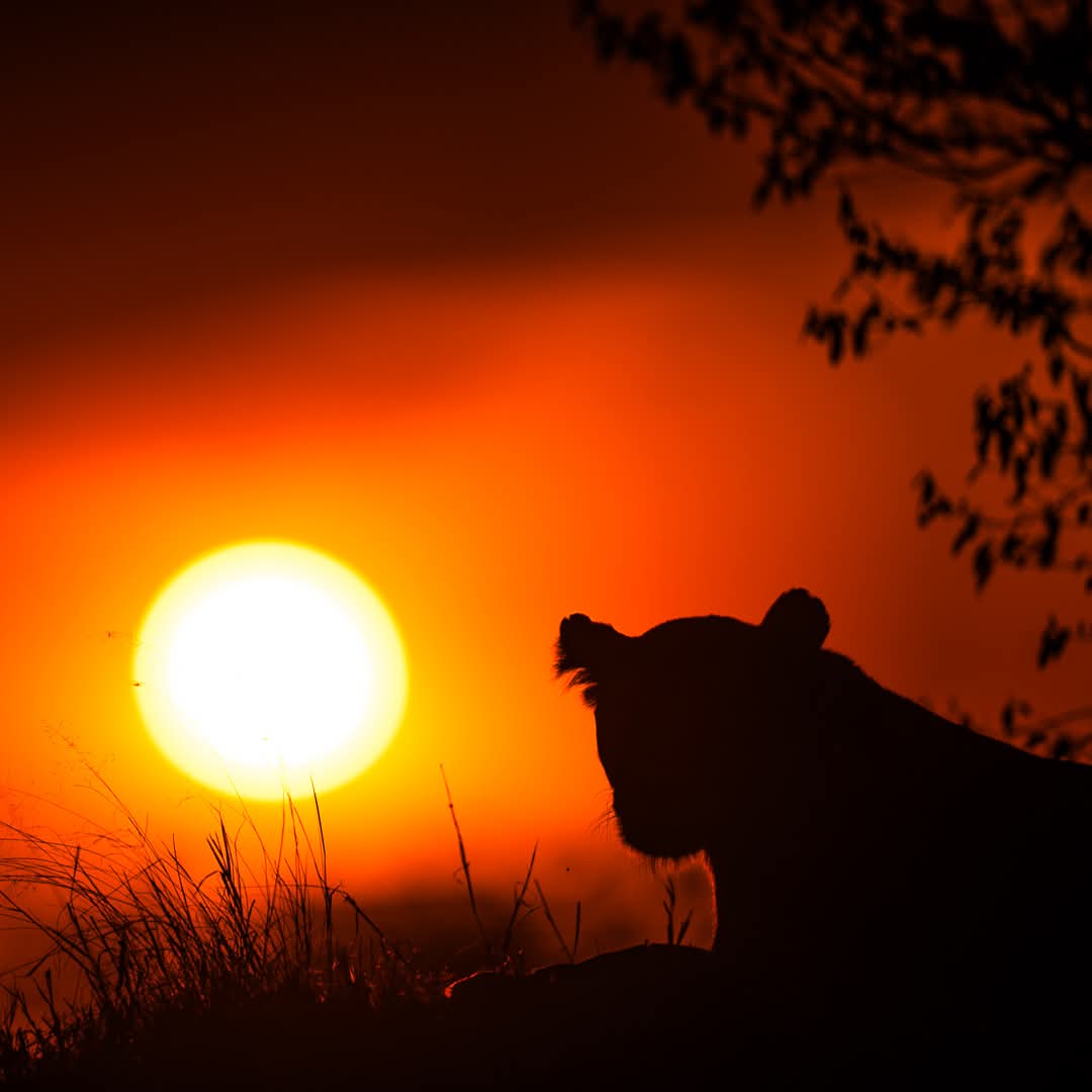 Kenya